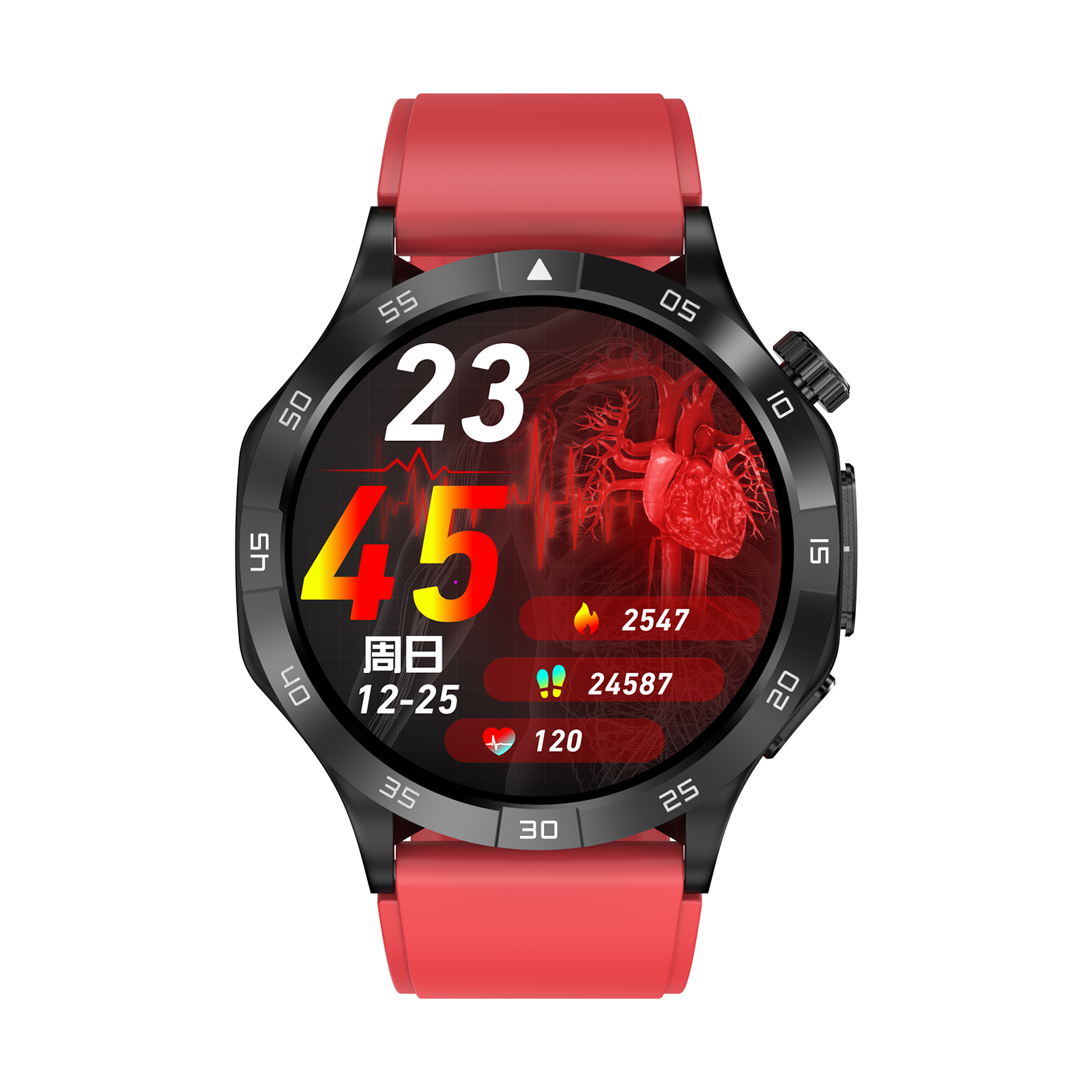 TS381 ECG AMOLED screen call health management watch